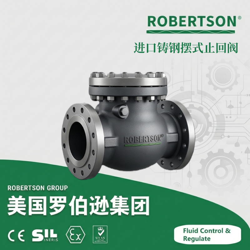 进口铸钢摆式止回阀-美国罗伯逊ROBERTSON
