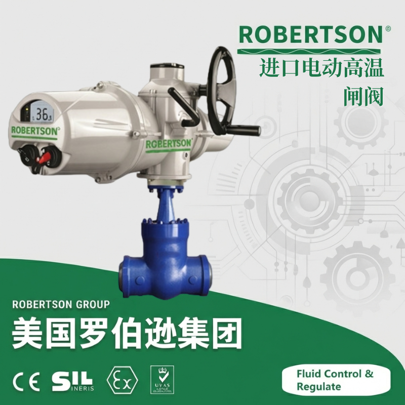 进口电动高温闸阀-美国罗伯逊ROBERTSON