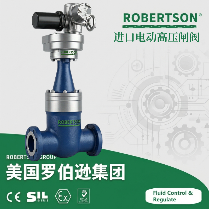 进口电动高压闸阀-美国罗伯逊ROBERTSON