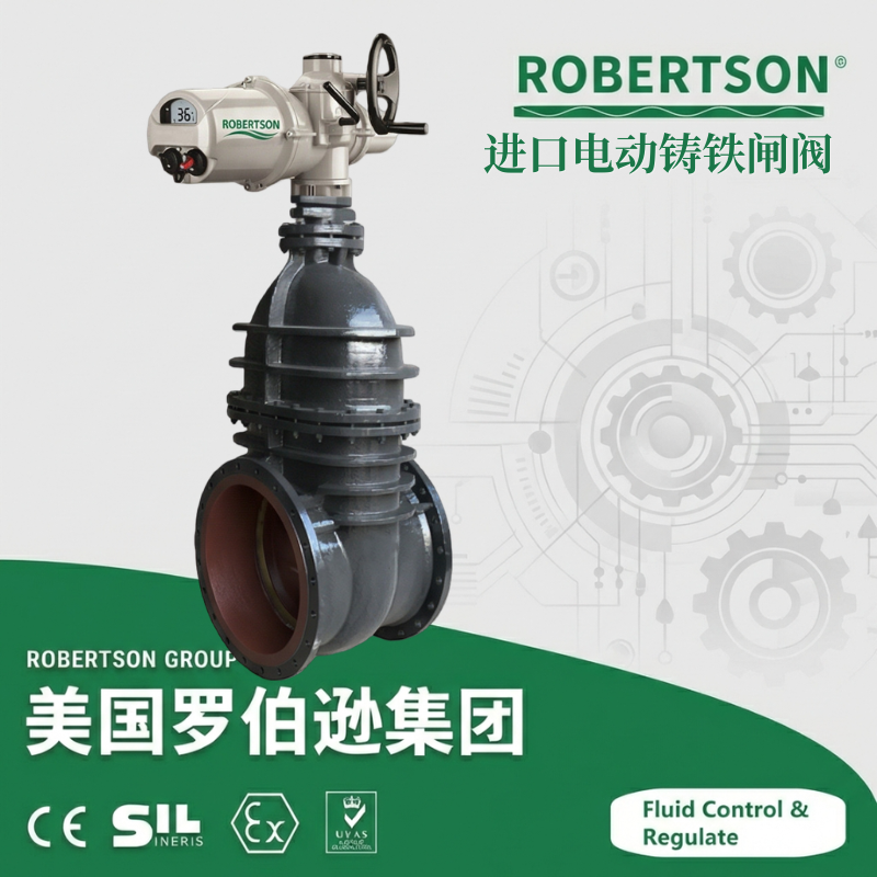 进口电动铸铁闸阀-美国罗伯逊ROBERTSON