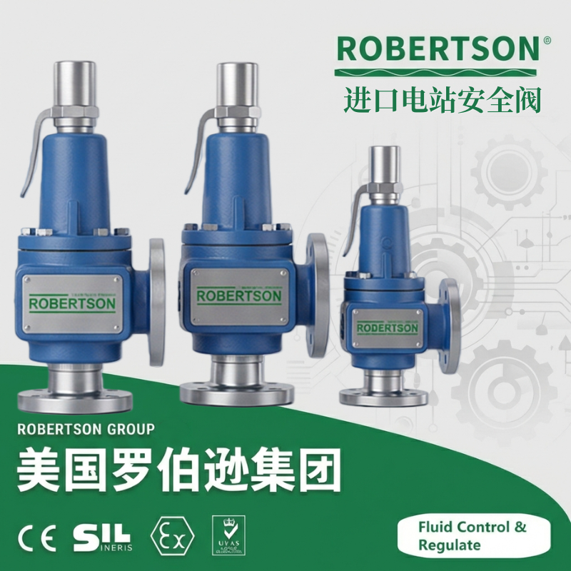 进口电站安全阀-美国罗伯逊ROBERTSON