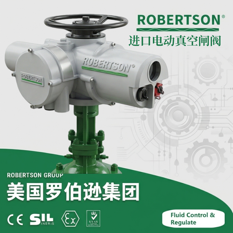进口电动真空闸阀-美国罗伯逊ROBERTSON