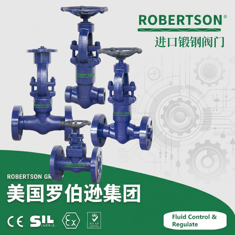 进口锻钢闸阀-美国罗伯逊ROBERTSON