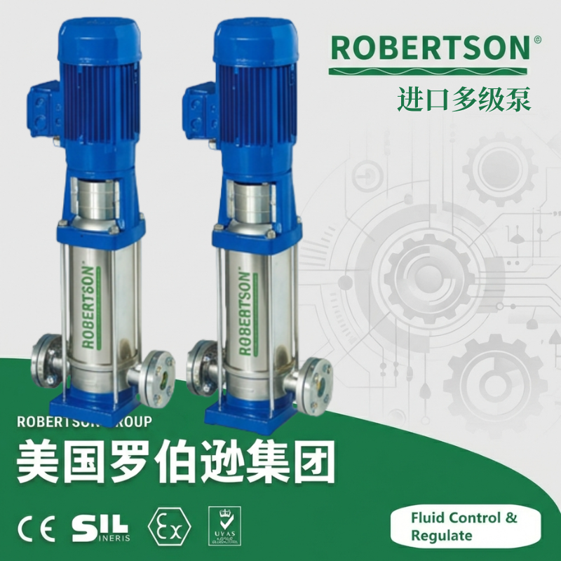 进口多级泵-美国罗伯逊ROBERTSON