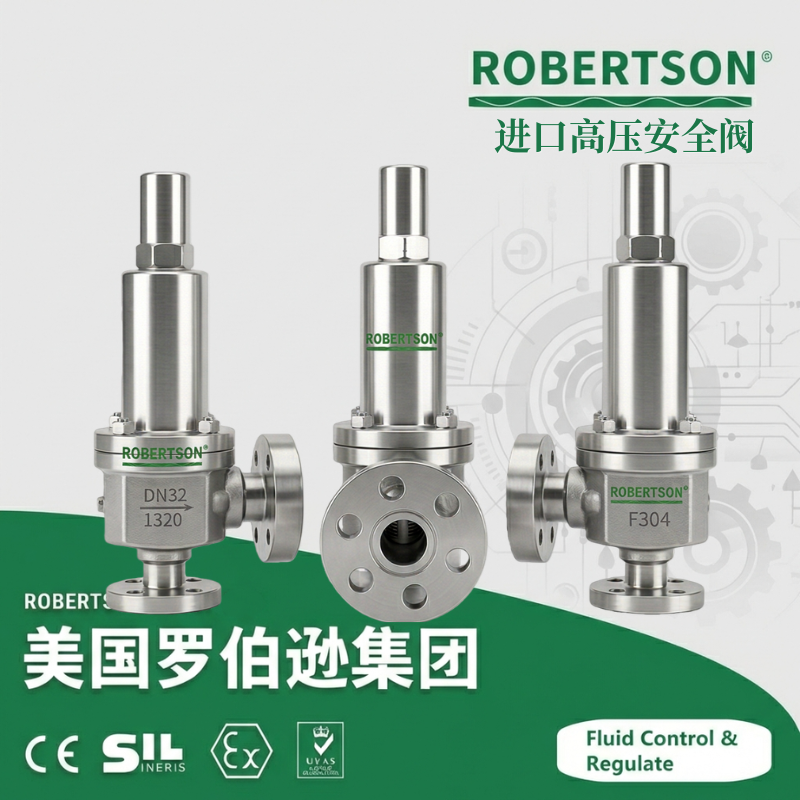 进口高压安全阀-美国罗伯逊ROBERTSON