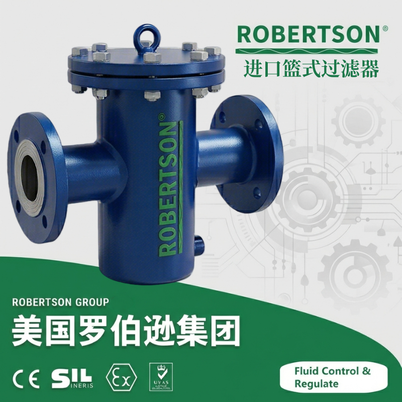 进口篮式过滤器-美国罗伯逊ROBERTSON