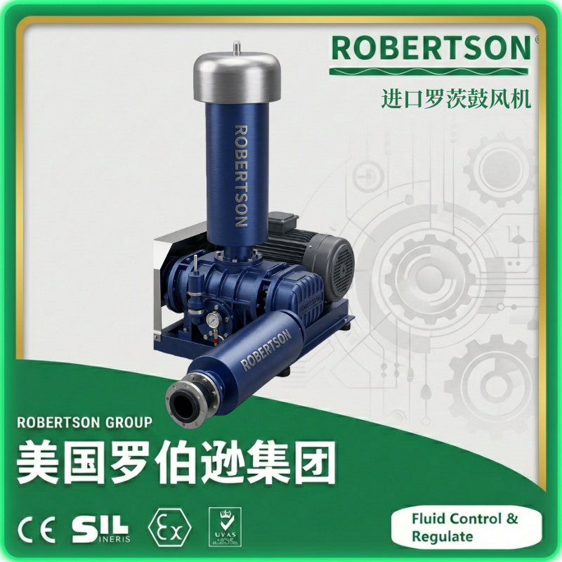进口罗茨鼓风机-美国罗伯逊ROBERTSON