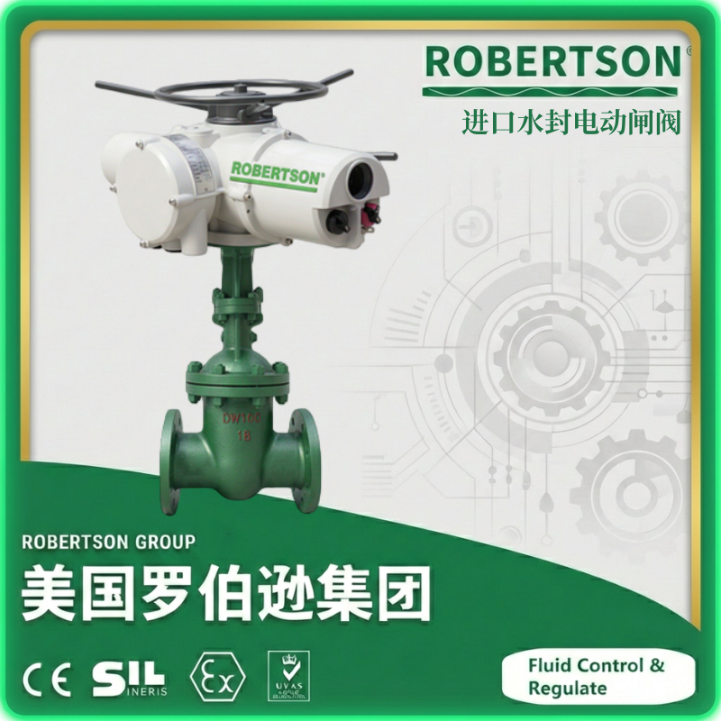 进口水封电动闸阀-美国罗伯逊ROBERTSON