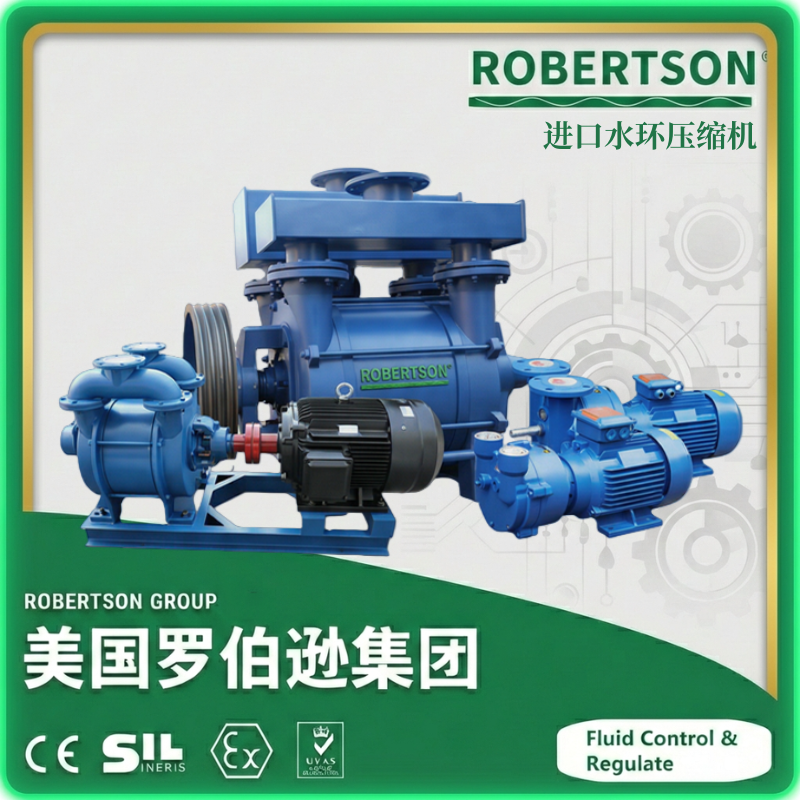 进口水环压缩机-美国罗伯逊ROBERTSON