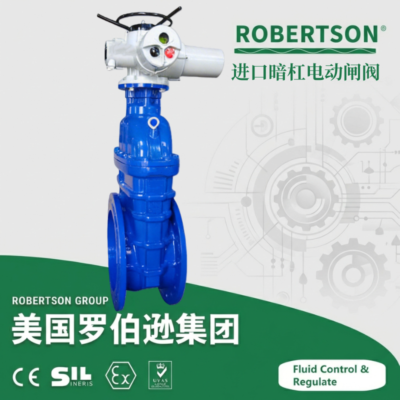 进口暗杠电动闸阀-美国罗伯逊ROBERTSON
