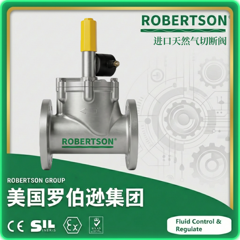 进口天然气切断阀-ROBERTSON