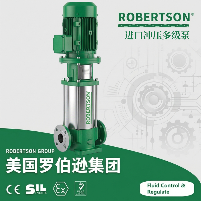 进口冲压多级泵-美国罗伯逊ROBERTSON