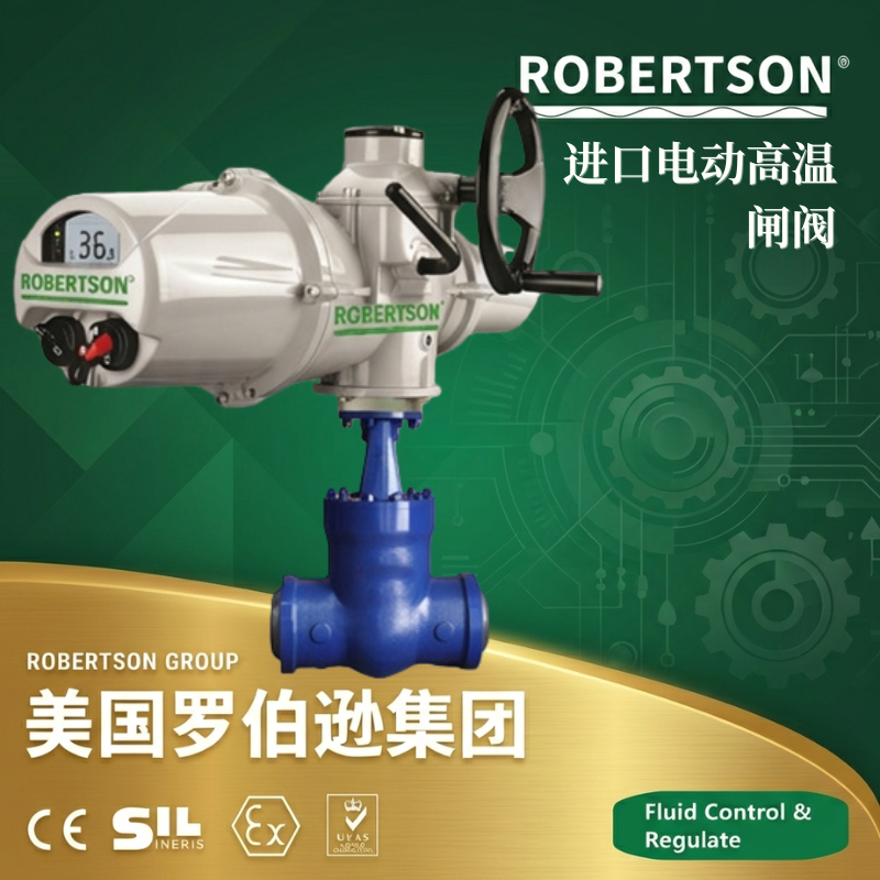 美国罗伯逊ROBERTSON进口电动高温闸阀：全面解析与应用指南