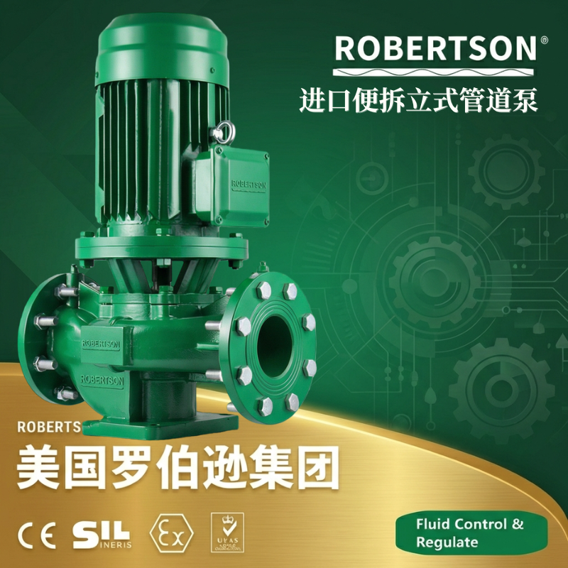 美国罗伯逊ROBERTSON进口便拆立式管道泵：全面解析与应用指南