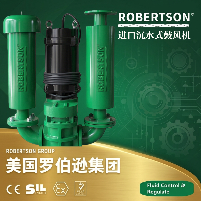 美国罗伯逊ROBERTSON进口沉水式鼓风机：全面解析与应用指南