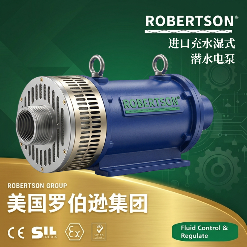 美国罗伯逊ROBERTSON进口充水湿式潜水电泵：全面解析与应用指南