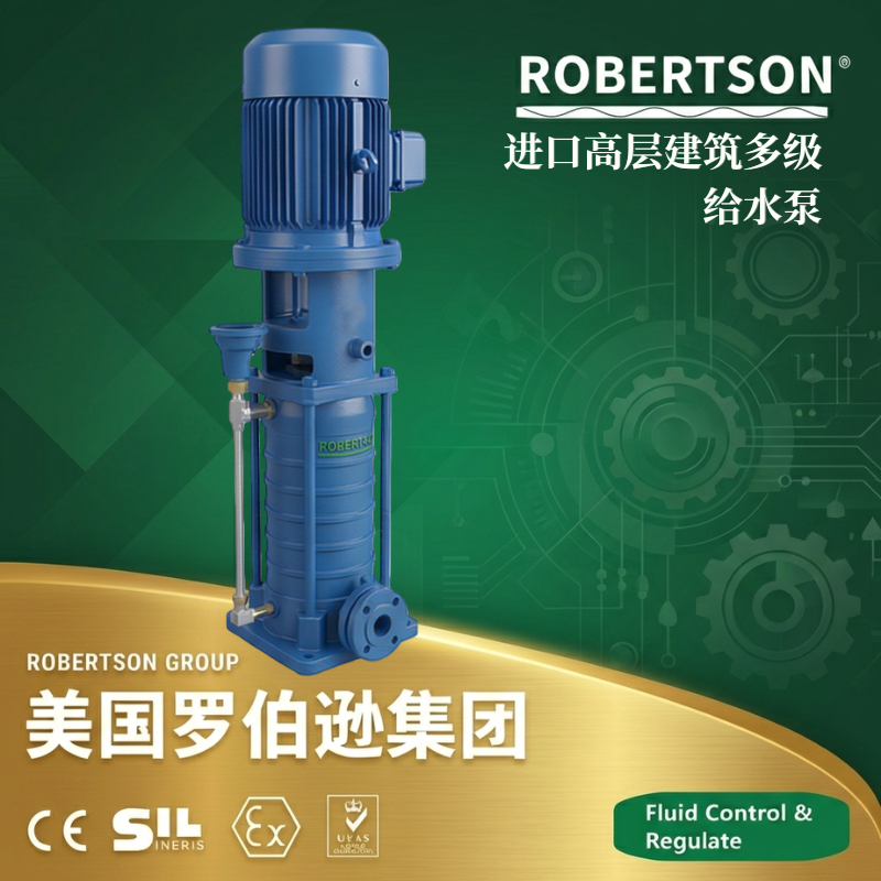 美国罗伯逊ROBERTSON进口高层建筑多级给水泵：全面解析与应用指南
