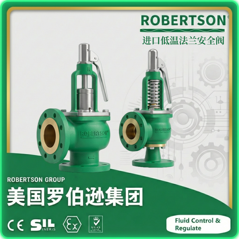 进口低温法兰安全阀-美国罗伯逊ROBERTSON