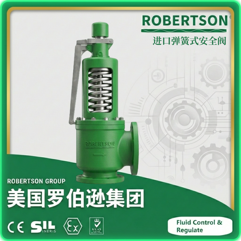 进口弹簧式安全阀-美国罗伯逊ROBERTSON